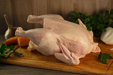 Chicken Chicken