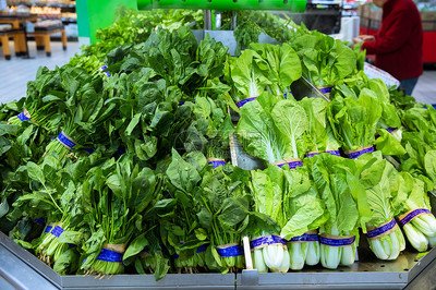 Vegetable Vegetable