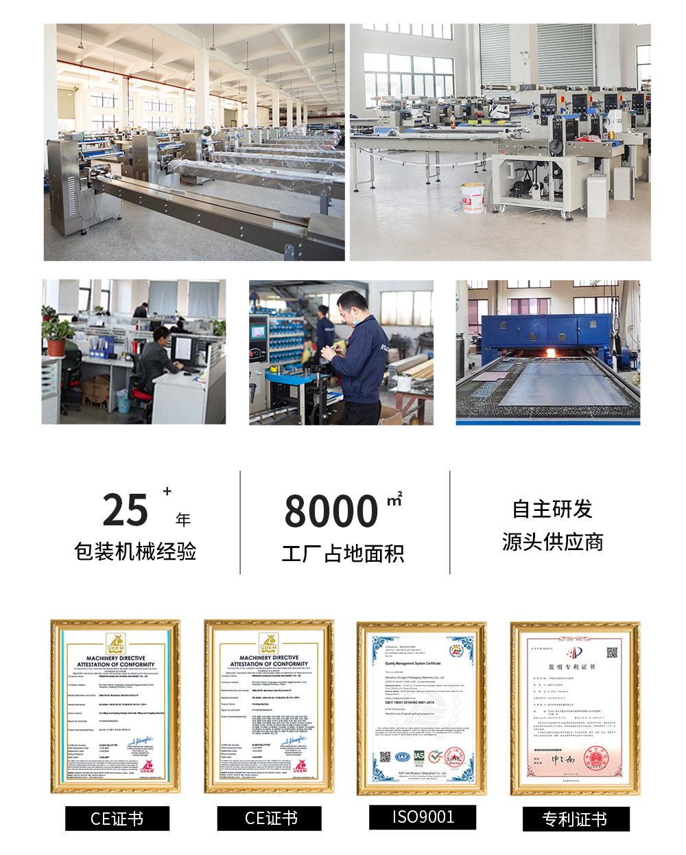 RJW-F 蛋糕理料线包装机