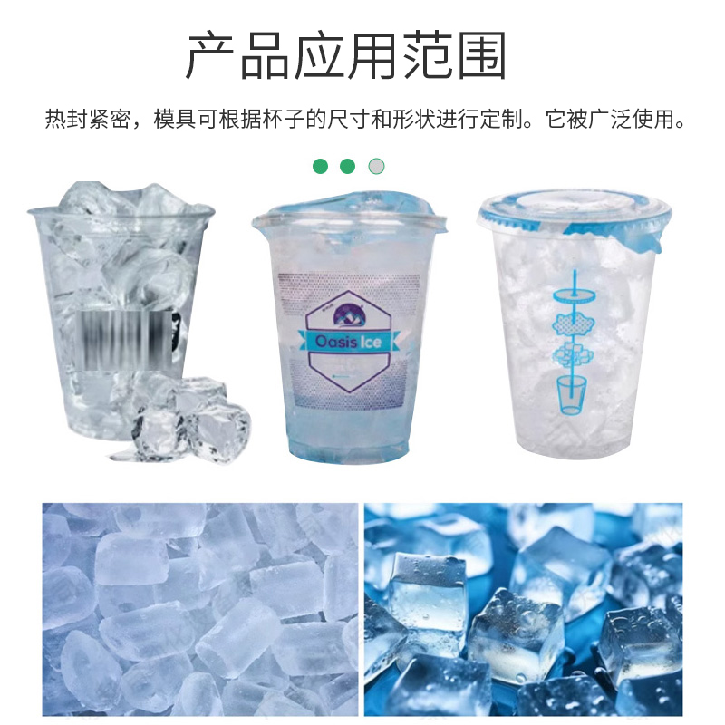 BG60A-6Q 冰块/冰球杯子灌封机