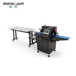 RJW280黑色喷涂塑料伺服枕式包装机